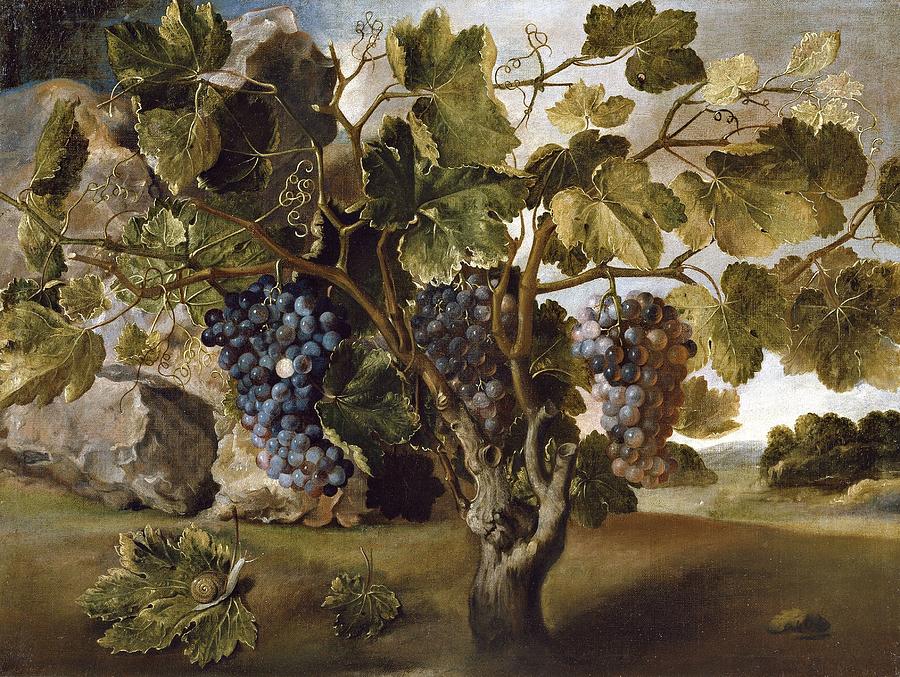 Landscape with a Grapevine, 17th century, Spanish School, Oil on canvas, 67 cm x... Painting by Tomas Yepes -c 1610-1674-