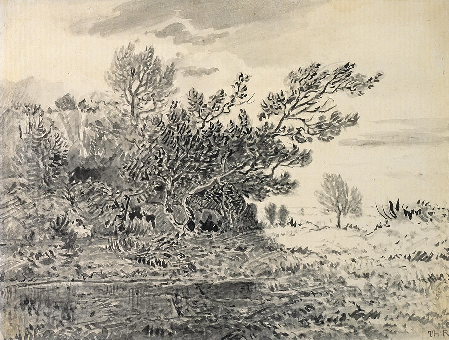 Landscape with a Pond Drawing by Theodore Rousseau