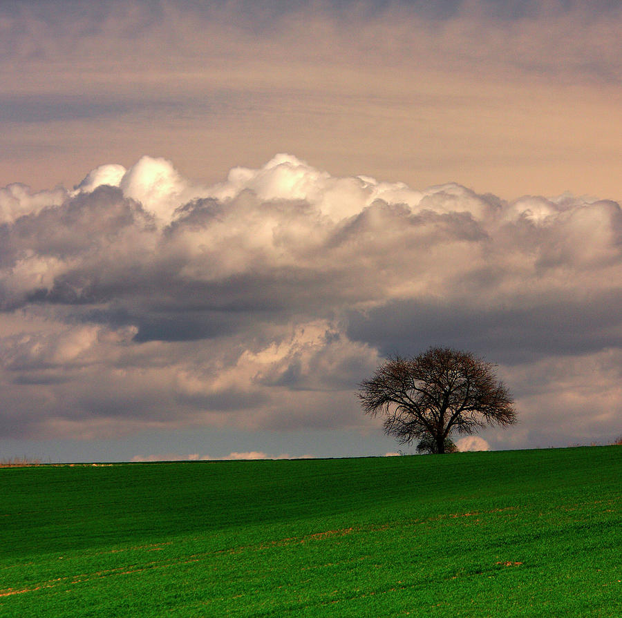 Landscape With Clouds Photograph By Tozofoto - Fine Art America