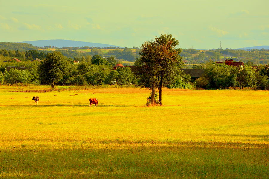 Landscape with cows by Henryk Gorecki Landscape with cows by Henryk Gorecki