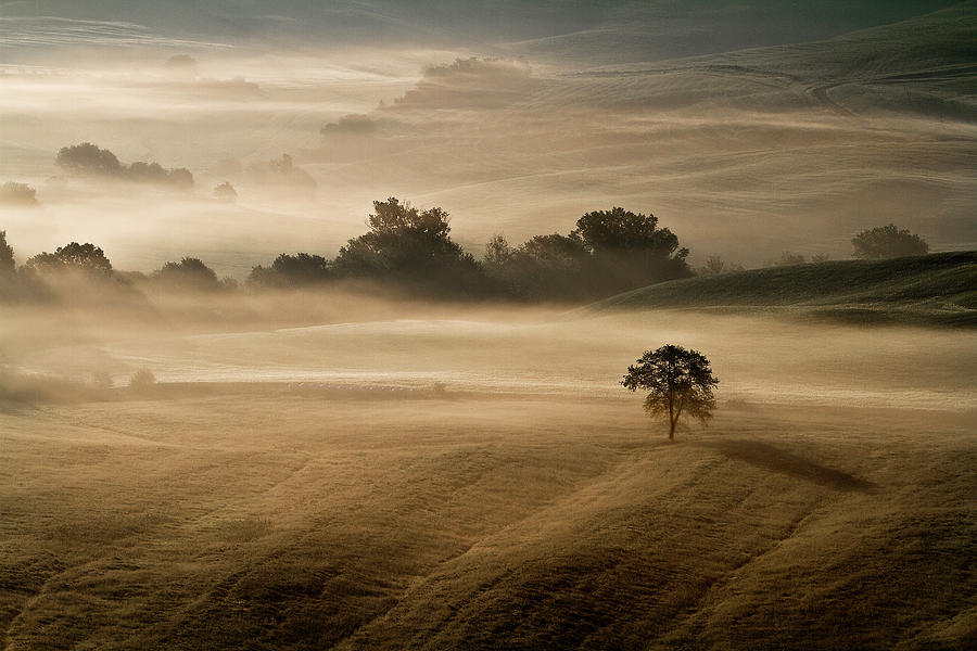 Landscape With Fog At Early Morning Photograph by Enzo D.