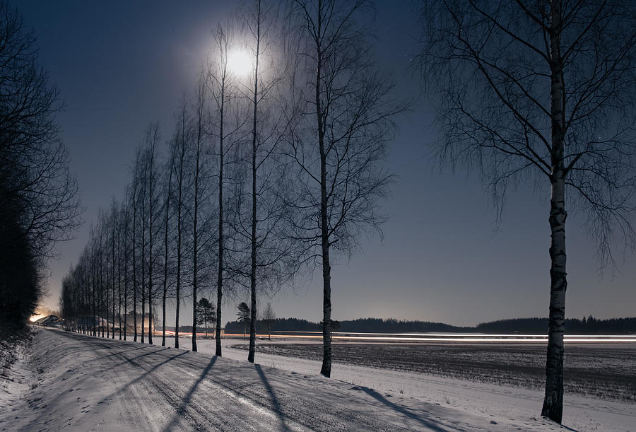 Winter Photograph - Landscape With Moonlight And Trees by Jani Riekkinen