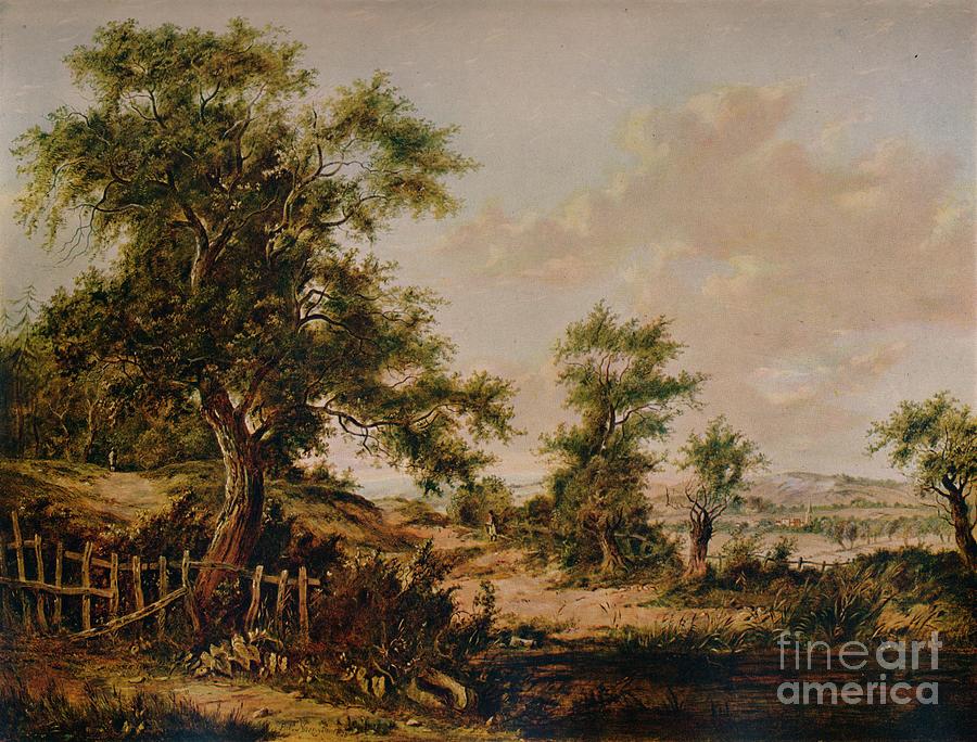 Landscape, With Pool And Tree Drawing by Print Collector