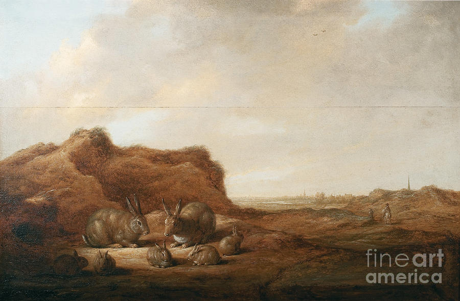 Landscape With Rabbits Drawing by Heritage Images