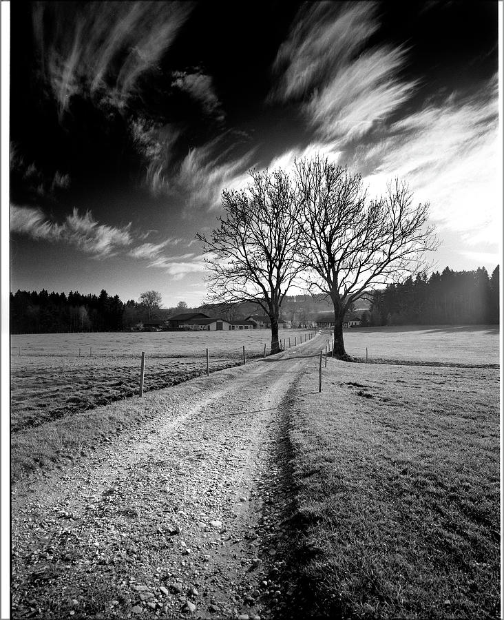Landscape With Tree And Clouds Photograph by Bronco - J. Heiligensetzer