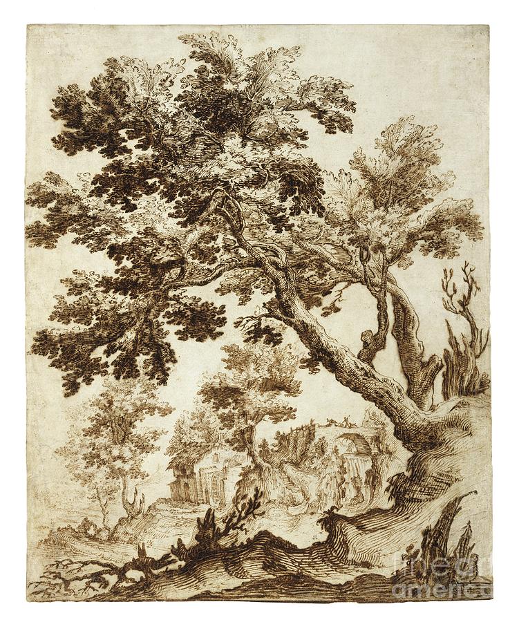 Landscape With Tree And Mill, Early 1600s Drawing by Remigio Cantagallina