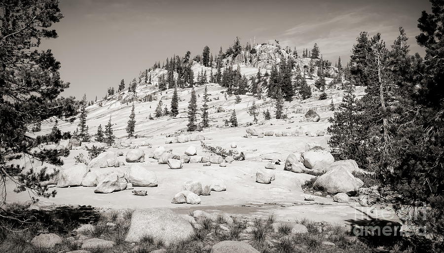 Landscape Yosemite National Park Sepia Tones  Photograph by Chuck Kuhn
