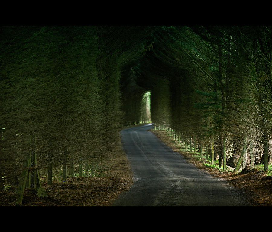 Nature Photograph - Lane Way by © Dr. J. Bodamer