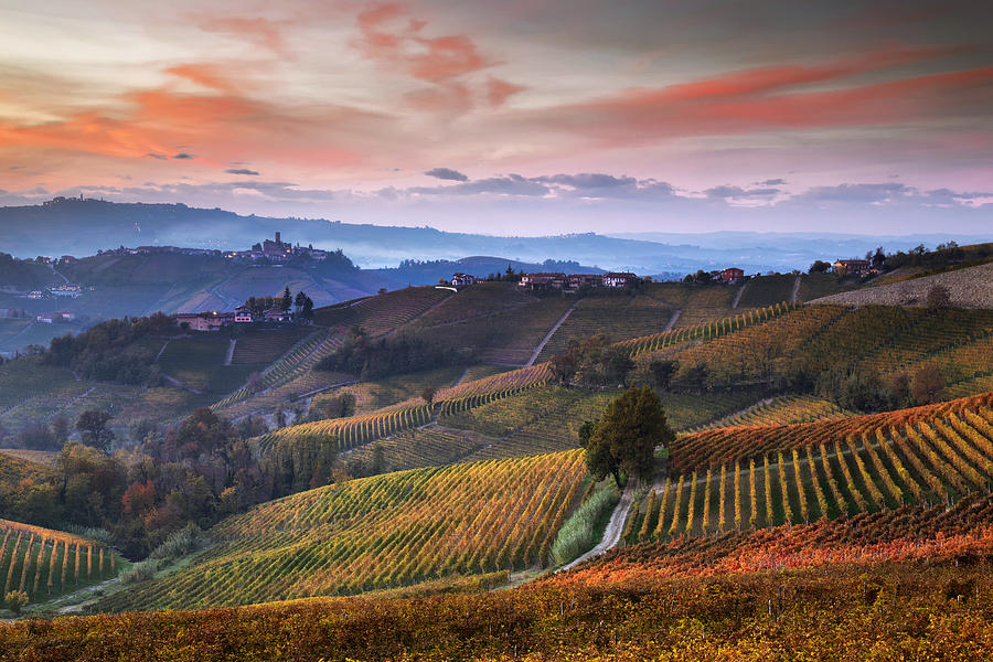 Langhe Photograph by Paolo Bolla - Fine Art America