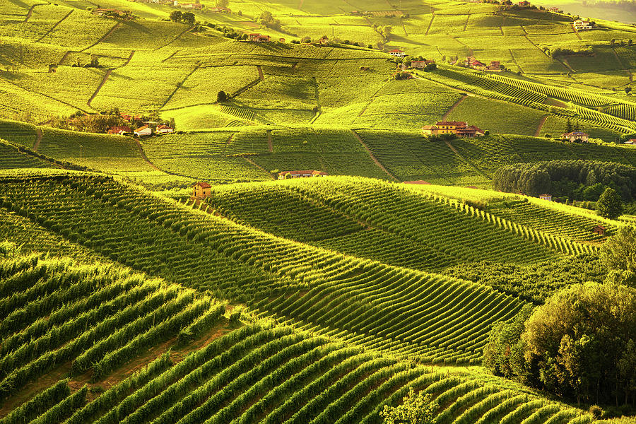 Langhe vineyards sunset panorama, Barolo, Piedmont, Italy Europe Photograph by Stefano Orazzini