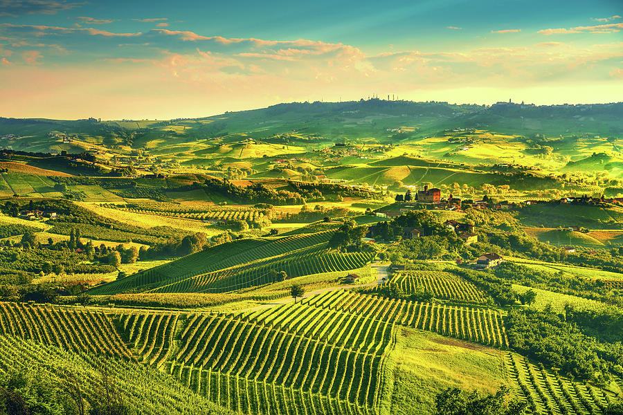 Langhe vineyards sunset panorama, Grinzane Covour, Piedmont, Ita Photograph by Stefano Orazzini