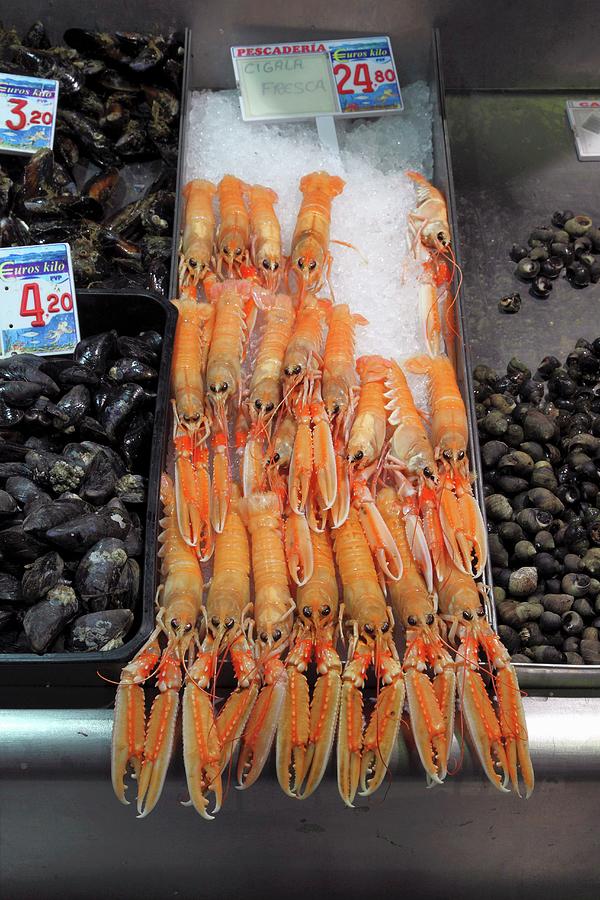 Langoustines And Mussels At A Fish Market In Bilbao, Basque Country, Spain Photograph by Rainer Grosskopf