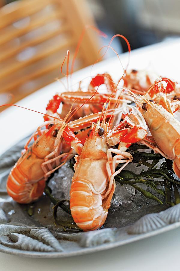 Langoustines In A Seafood Restaurant In Padstow On The Coast Of Cornwall Photograph by Jalag / Sren Gammelmark