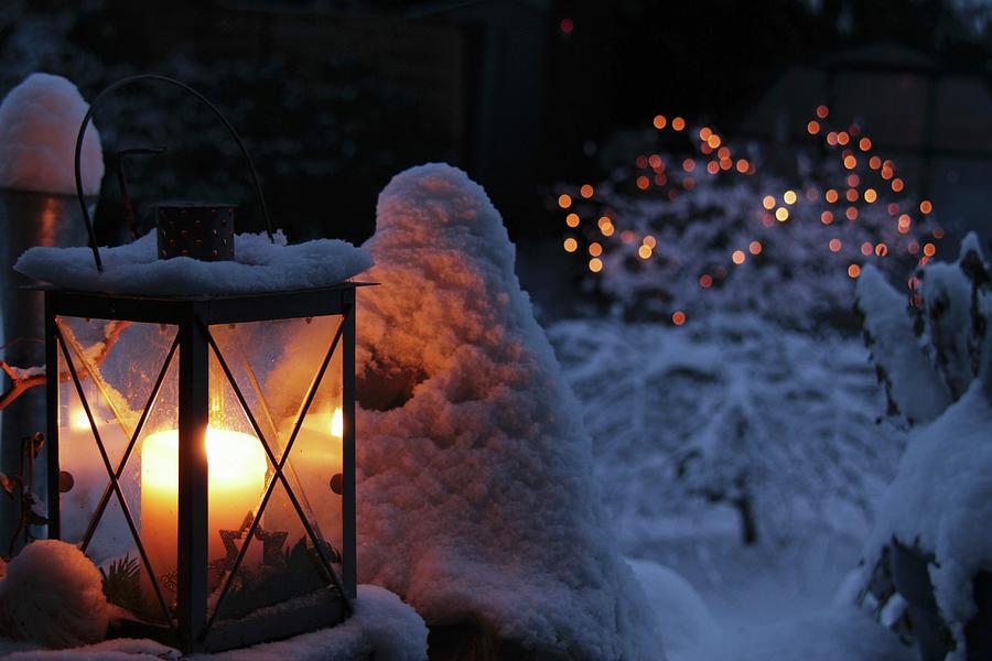 Lantern In Snow Photograph by Barbara Ellger