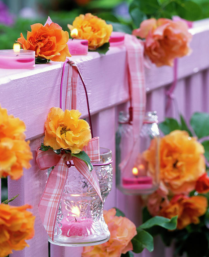 Lantern With Tealight And Pink rose On Balcony Railing Photograph by Friedrich Strauss