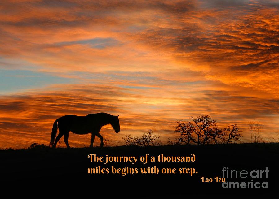 Lao Tzu Famous Quote, The Journey of a 1000 Miles Begins with One Step, Horse in Sunrise Photograph by Stephanie Laird