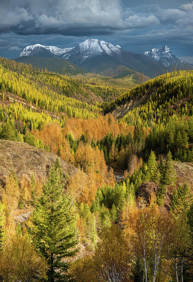 Larch Season / Flathead River, Glacier National Park by Nicholas Parker Larch Season / Flathead River, Glacier National Park by Nicholas Parker