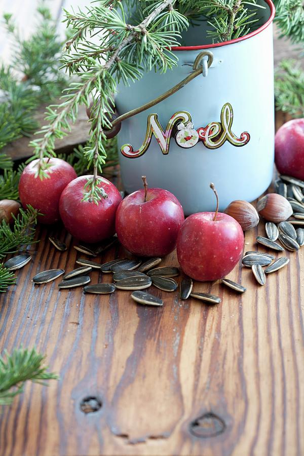 Larch Twigs In Enamel Bucket With Nostalgic Christmas Motto Photograph by Martina Schindler