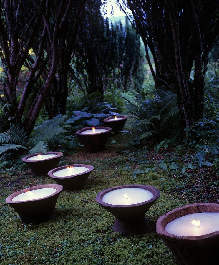 Large Candles In Wooden Bowls Amongst Moss And Ferns In Garden Photograph by Matteo Manduzio