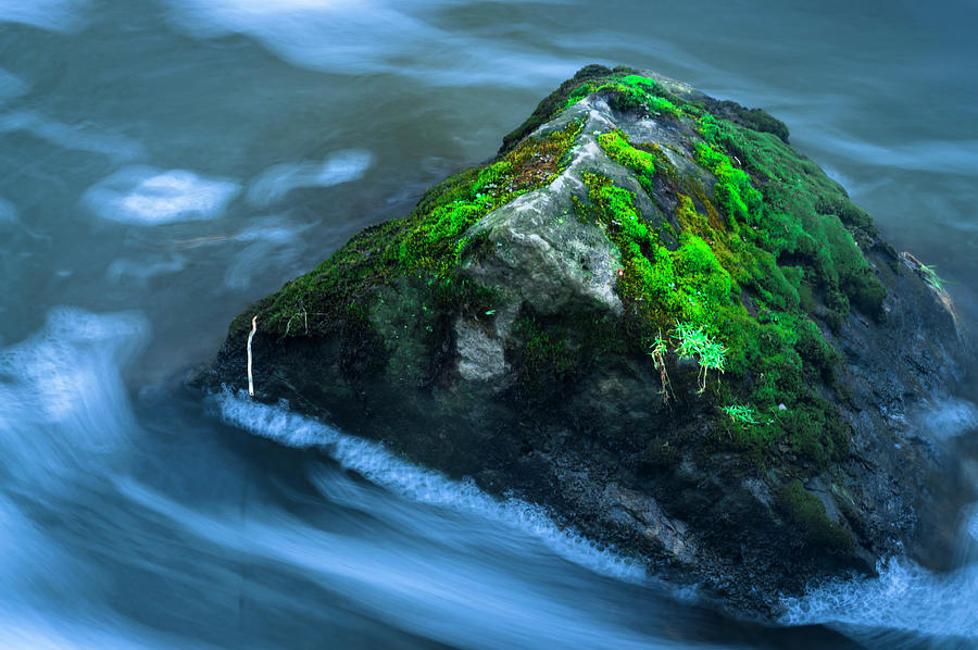 Abstract Photograph - Large Moss Covered Rock Slow Swirling Water by Anthony Paladino