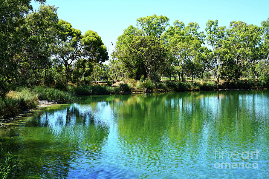 Nature Photograph - Large pond in natural Australian bush setting. by Milleflore Images