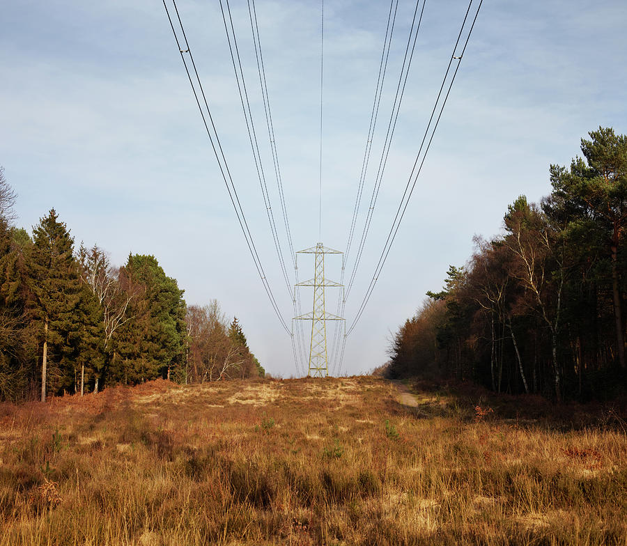 Large Pylon And Electricity Cables Photograph by Tim Robberts