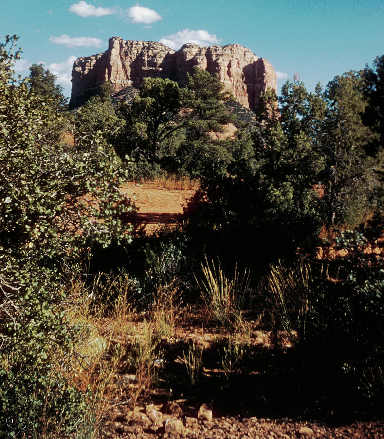 Large sandstone monolith seen beyond a few trees in Oak Creek Canyon -  ARIZ400 00210 Coffee Mug by Kevin Russell - Pixels