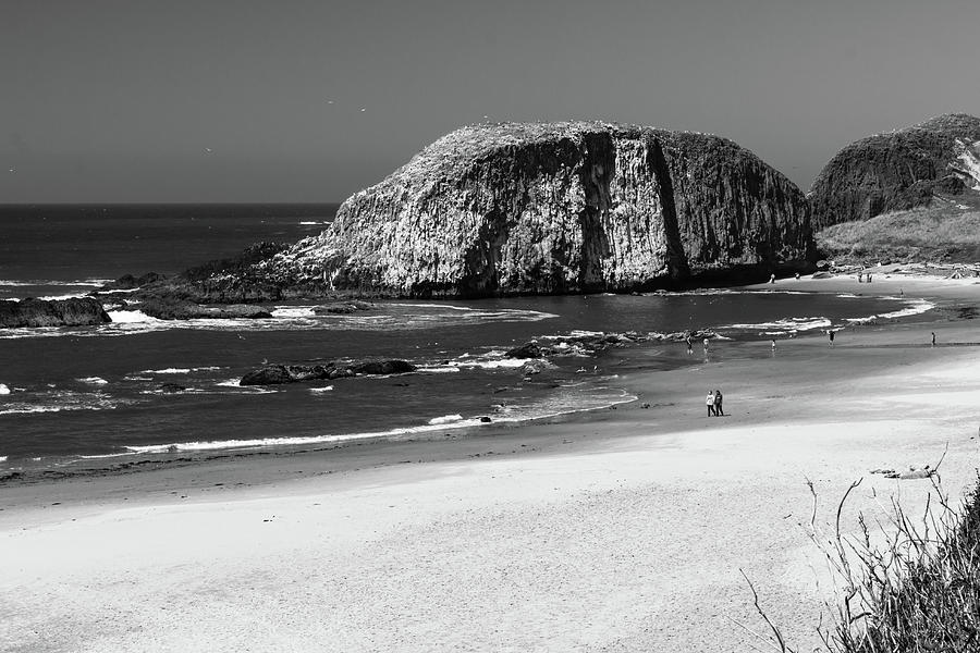 Large Seastack, Oregon Coast Photograph by Aashish Vaidya