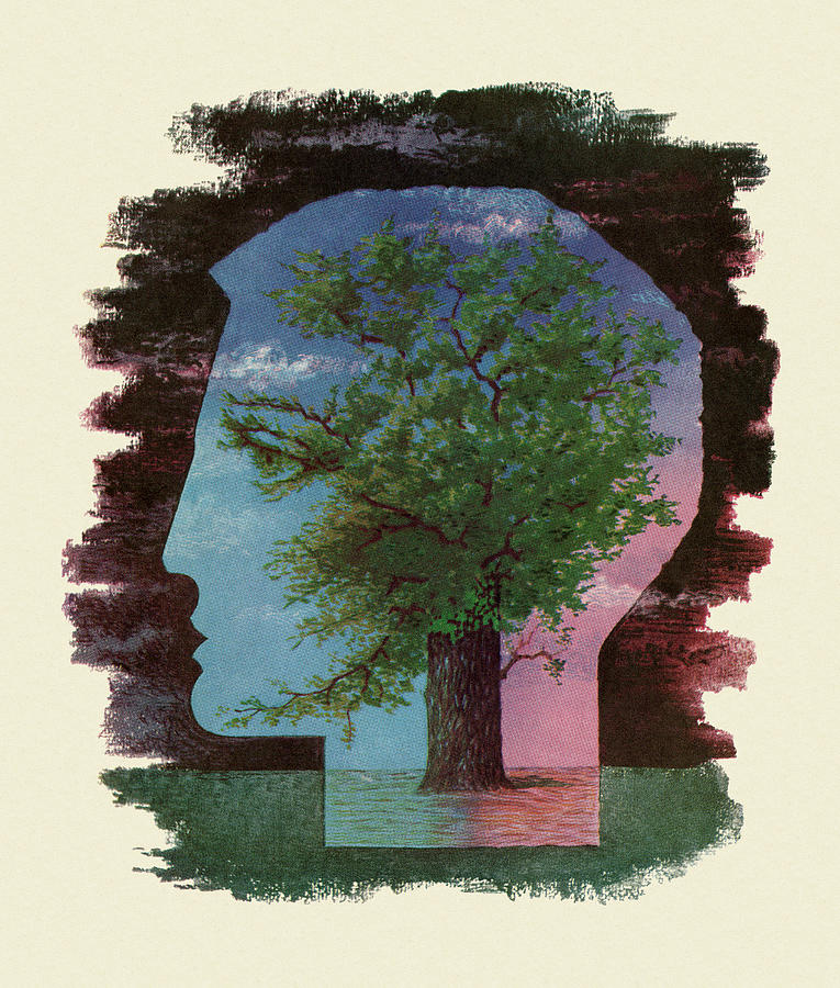 Nature Drawing - Large Tree in the Silhouette of a Mans Head by CSA Images