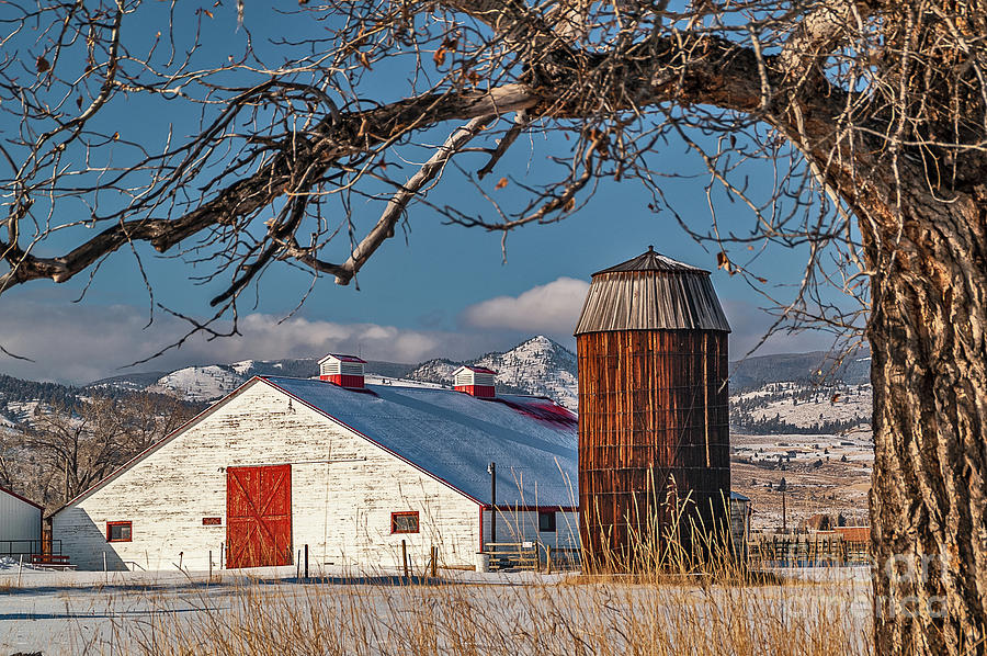 Large White Barn With Silo Photograph