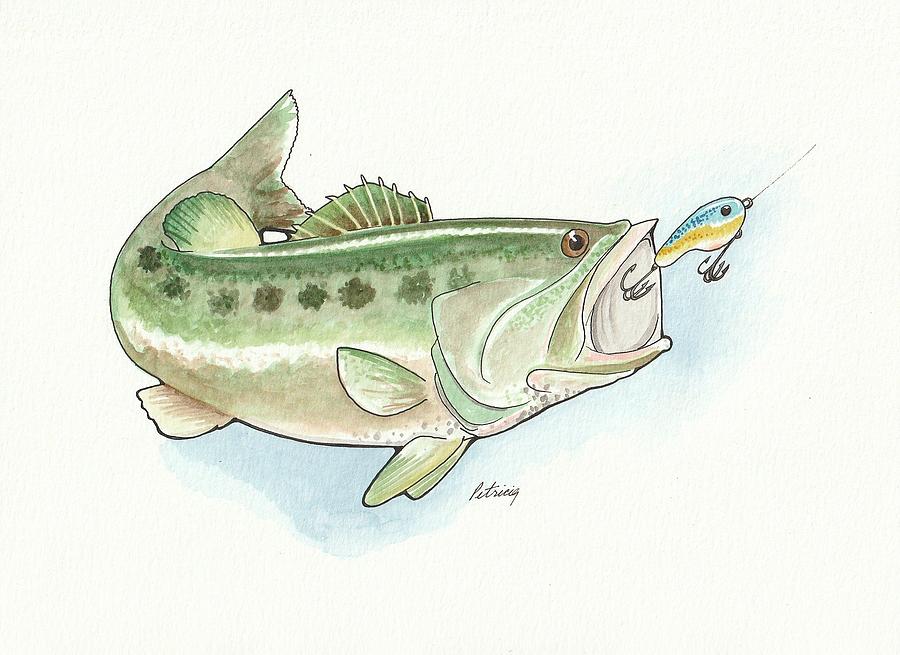 Largemouth Bass Painting by Marcy Petricig Braasch