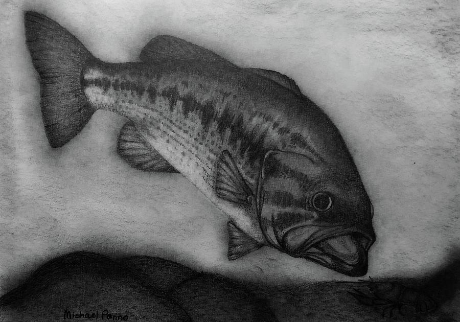 Largemouth Bass Drawing By Michael Panno