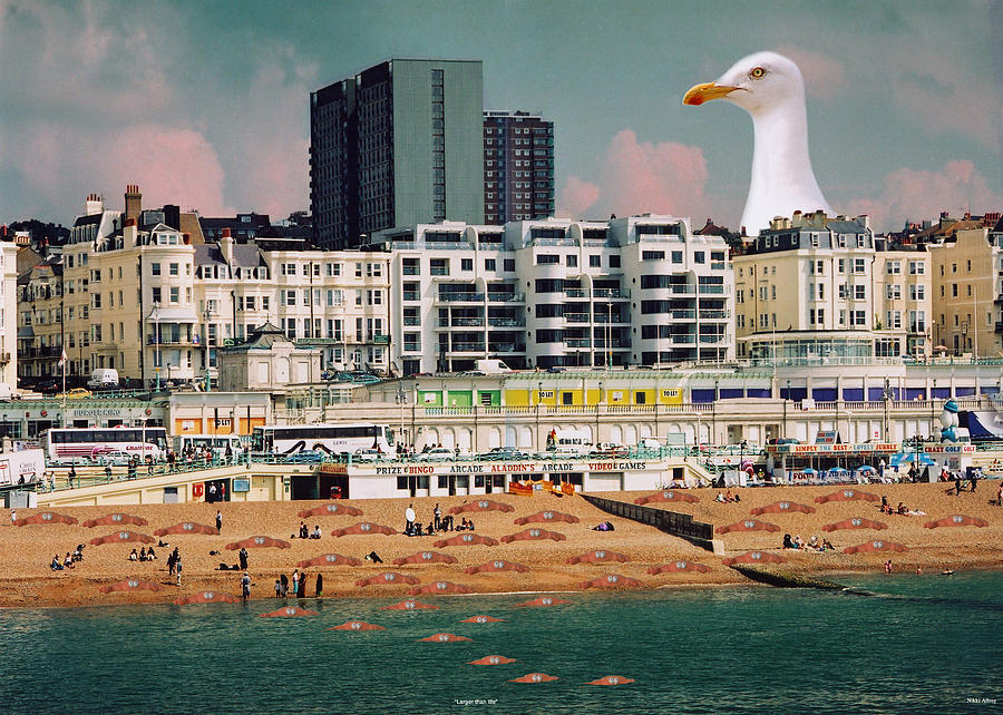 Seagulls Digital Art - Larger Than Life by Nikki Attree Seagulls Digital Art - Larger Than Life by Nikki Attree