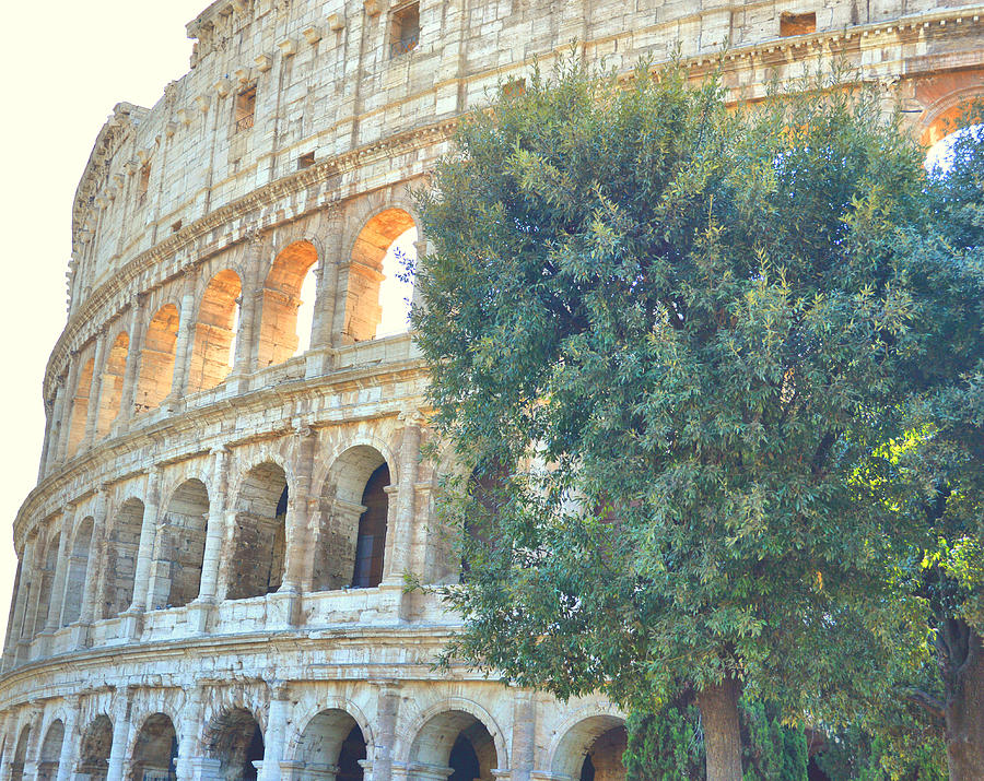 Largest Roman Amphitheater Photograph by JAMART Photography