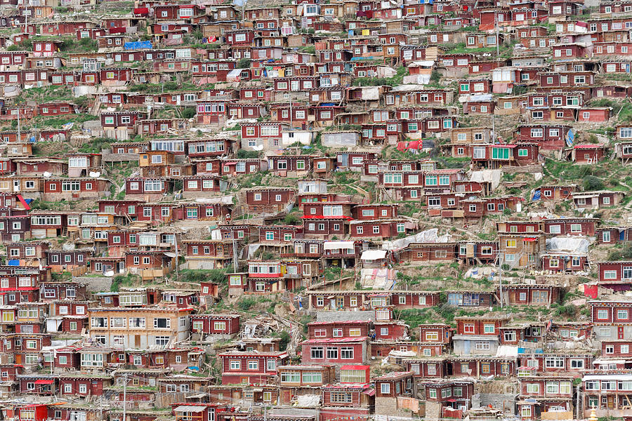 Larung Gar Five Sciences Buddhist Photograph by Kit chow - Fine Art America