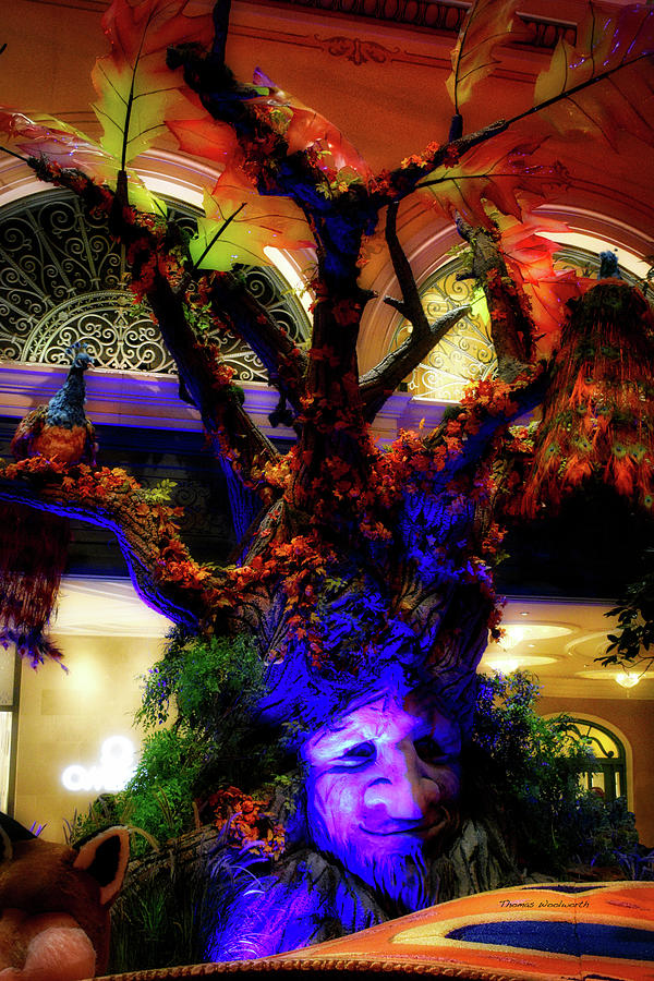 Las Vegas Bellagio Conservatory Tree Face Vertical Photograph by Thomas Woolworth