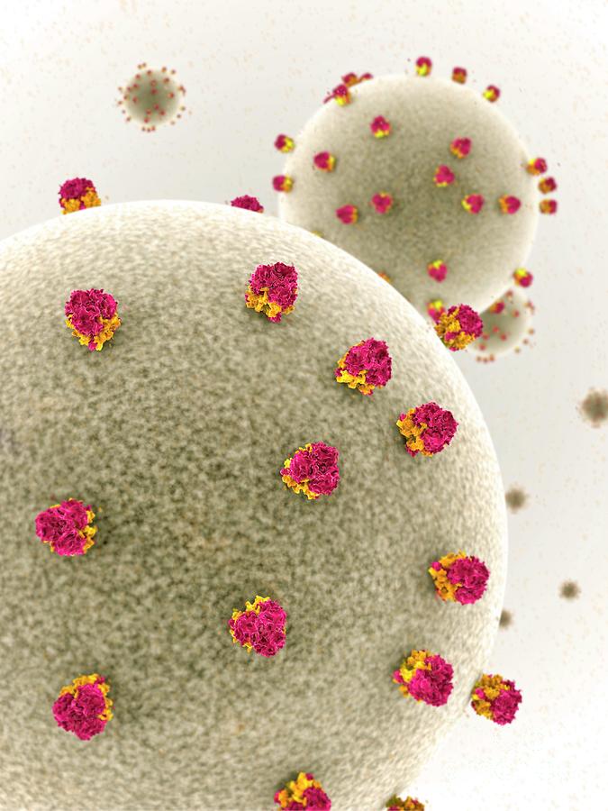 Lassa Virus Particles by Ramon Andrade 3dciencia/science Photo Library