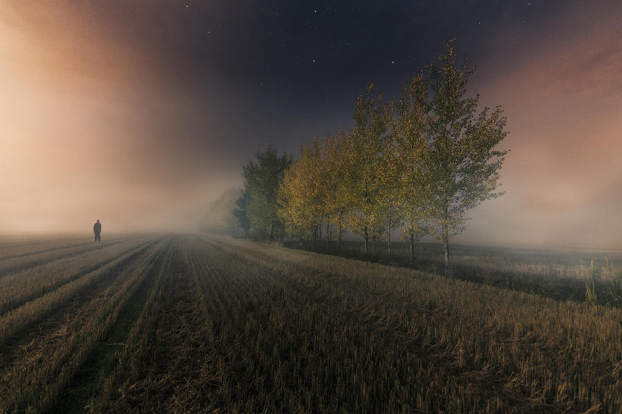 Summer Photograph - Last Colors Of Autumn. by Mika Suutari