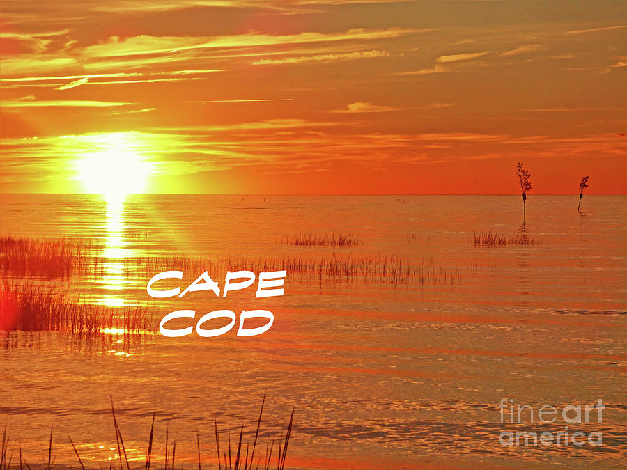Last Glow Cape Cod Poster 300 Photograph by Sharon Williams Eng