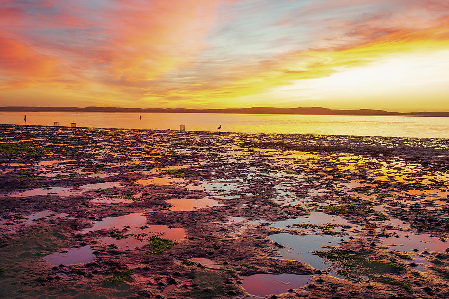 California Photograph - Last Light by Fernando Margolles California Photograph - Last Light by Fernando Margolles