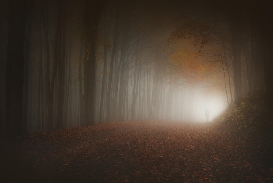 Fall Photograph - Last Light Of Autumn by Paolo Lazzarotti