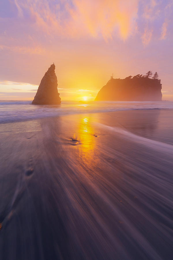 Olympic National Park Photograph - Last Light On Ruby Beach by Yifeng Cai