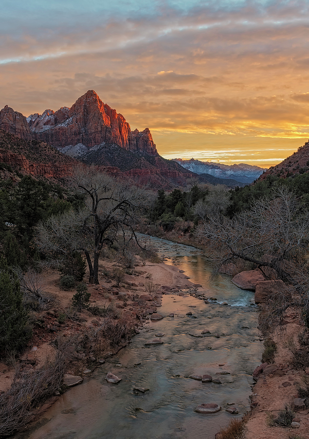 Zion National Park Photograph - Last Light on The Watchman by Loree Johnson