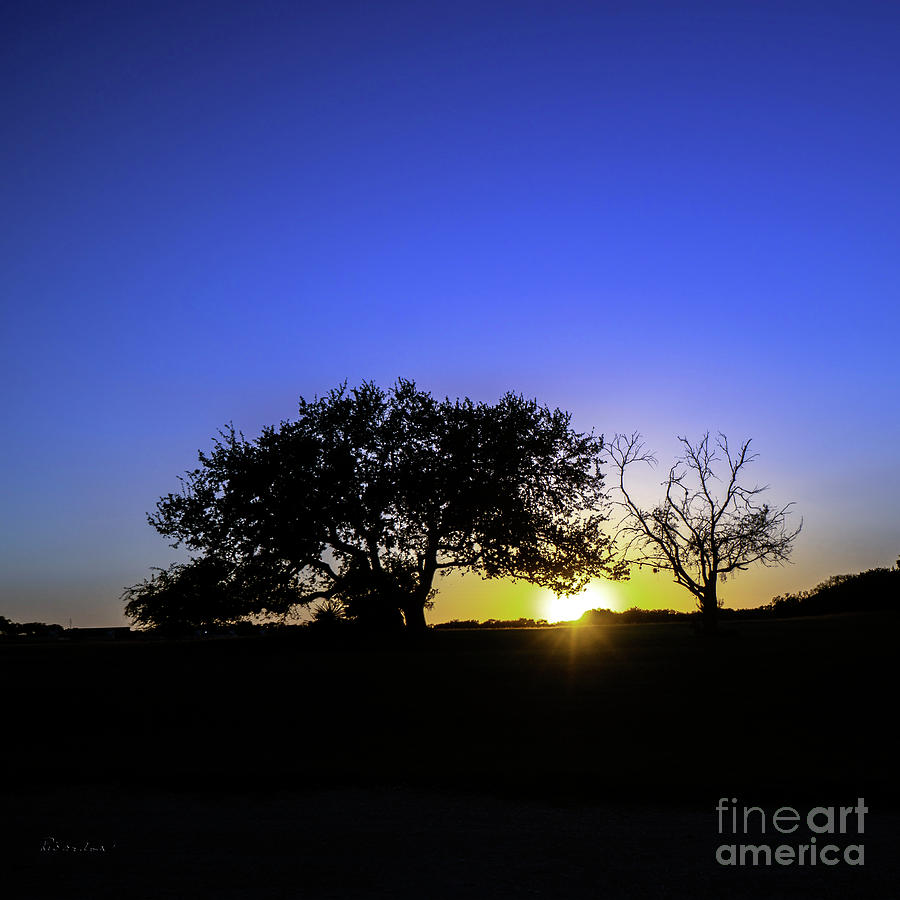 Last Light Texas Hill Country Paradise Canyon Sunset 8053C Photograph by Ricardos Creations