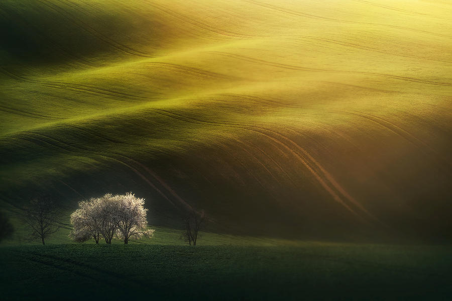 Last Rays Photograph by Grzegorz Lewandowski
