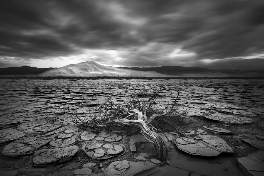 Desert Photograph - Last Refuge by Chris Moore