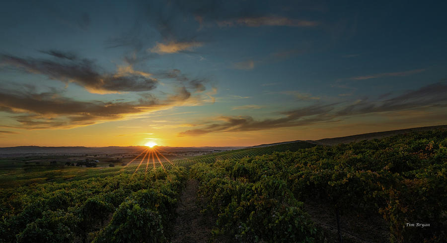 Sunset Photograph - Last Sunset Before Harvest by Tim Bryan