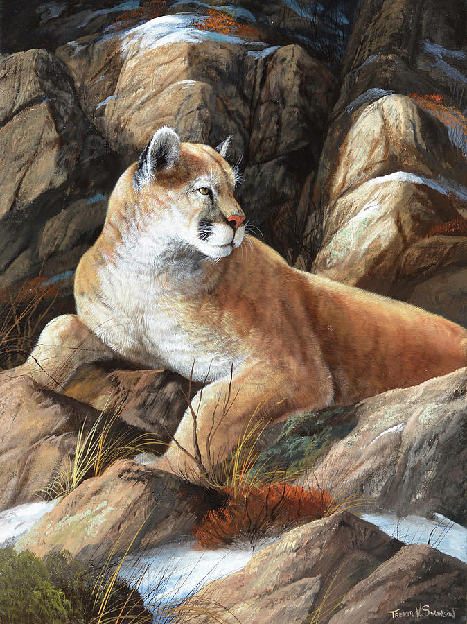 Wildlife Painting - Last Warm Rays by Trevor V. Swanson Wildlife Painting - Last Warm Rays by Trevor V. Swanson