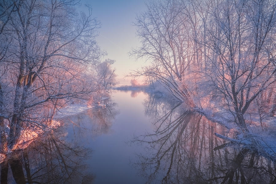 Winter Photograph - Last Warming Light by Patrick Aurednik