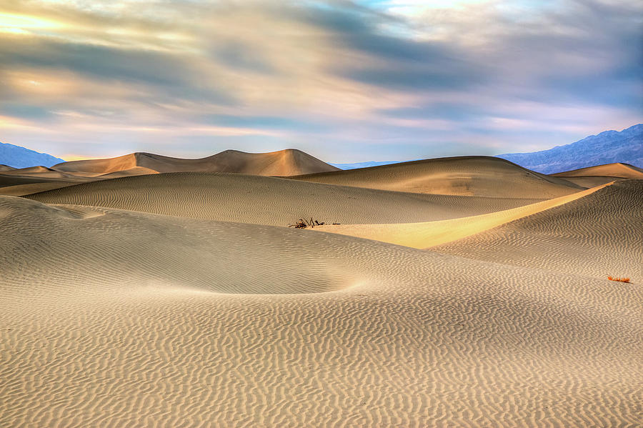 Late Afternoon At The Mesquite Dunes Photograph by Mimi Ditchie Photography